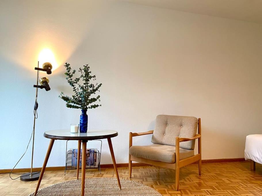 Modern 3-bedroom In Centre * Basel